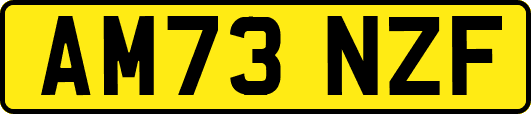 AM73NZF