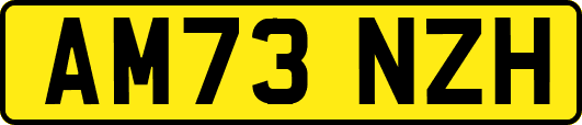 AM73NZH