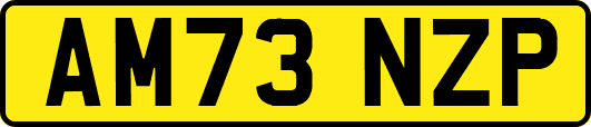 AM73NZP