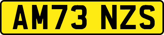 AM73NZS