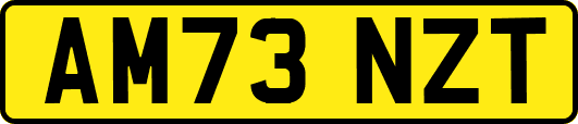 AM73NZT