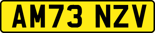 AM73NZV
