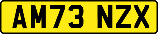 AM73NZX