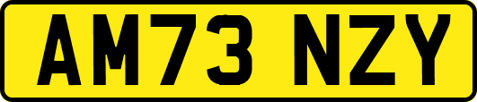 AM73NZY