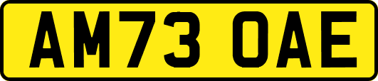 AM73OAE