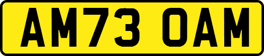 AM73OAM