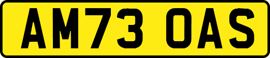 AM73OAS