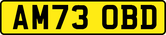 AM73OBD