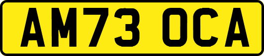 AM73OCA