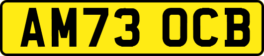 AM73OCB
