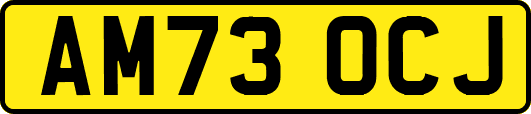 AM73OCJ
