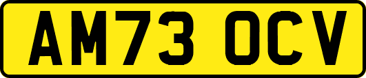 AM73OCV