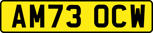 AM73OCW