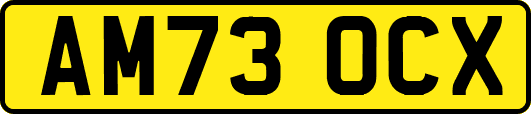 AM73OCX