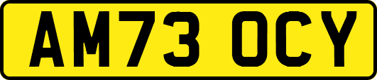 AM73OCY