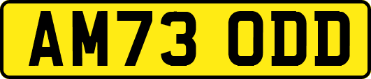 AM73ODD