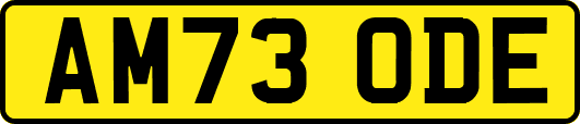 AM73ODE