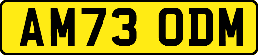 AM73ODM