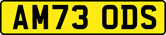 AM73ODS