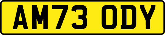 AM73ODY