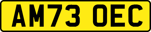 AM73OEC