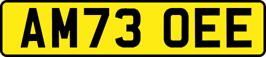AM73OEE