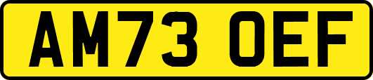 AM73OEF