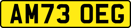 AM73OEG