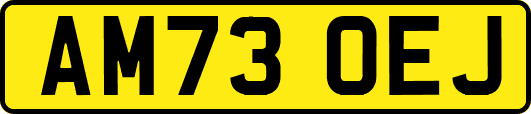 AM73OEJ