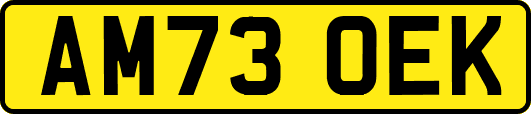 AM73OEK