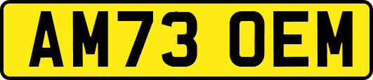 AM73OEM