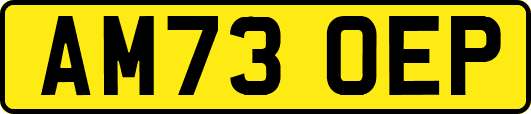 AM73OEP