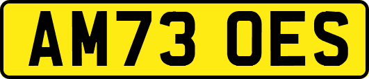 AM73OES