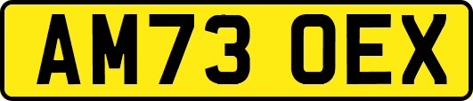 AM73OEX