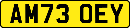 AM73OEY