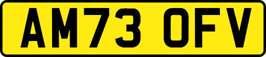 AM73OFV