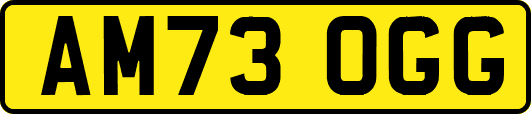 AM73OGG