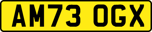 AM73OGX