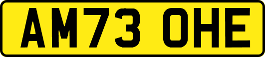 AM73OHE