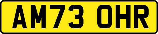 AM73OHR