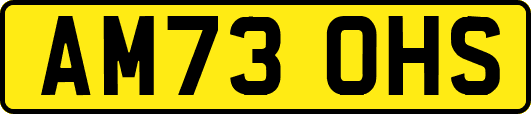 AM73OHS