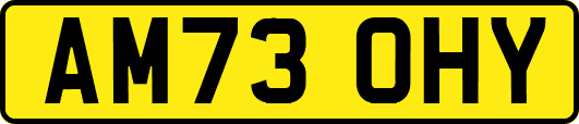 AM73OHY