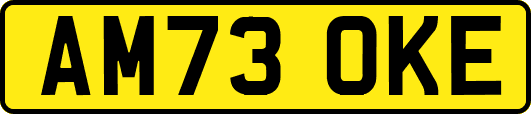 AM73OKE