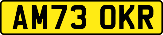 AM73OKR
