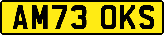AM73OKS