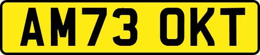 AM73OKT