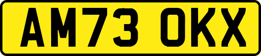 AM73OKX