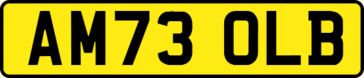 AM73OLB