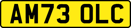 AM73OLC