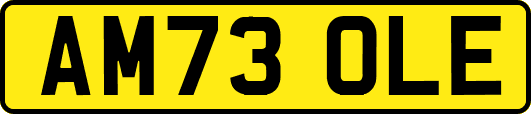 AM73OLE